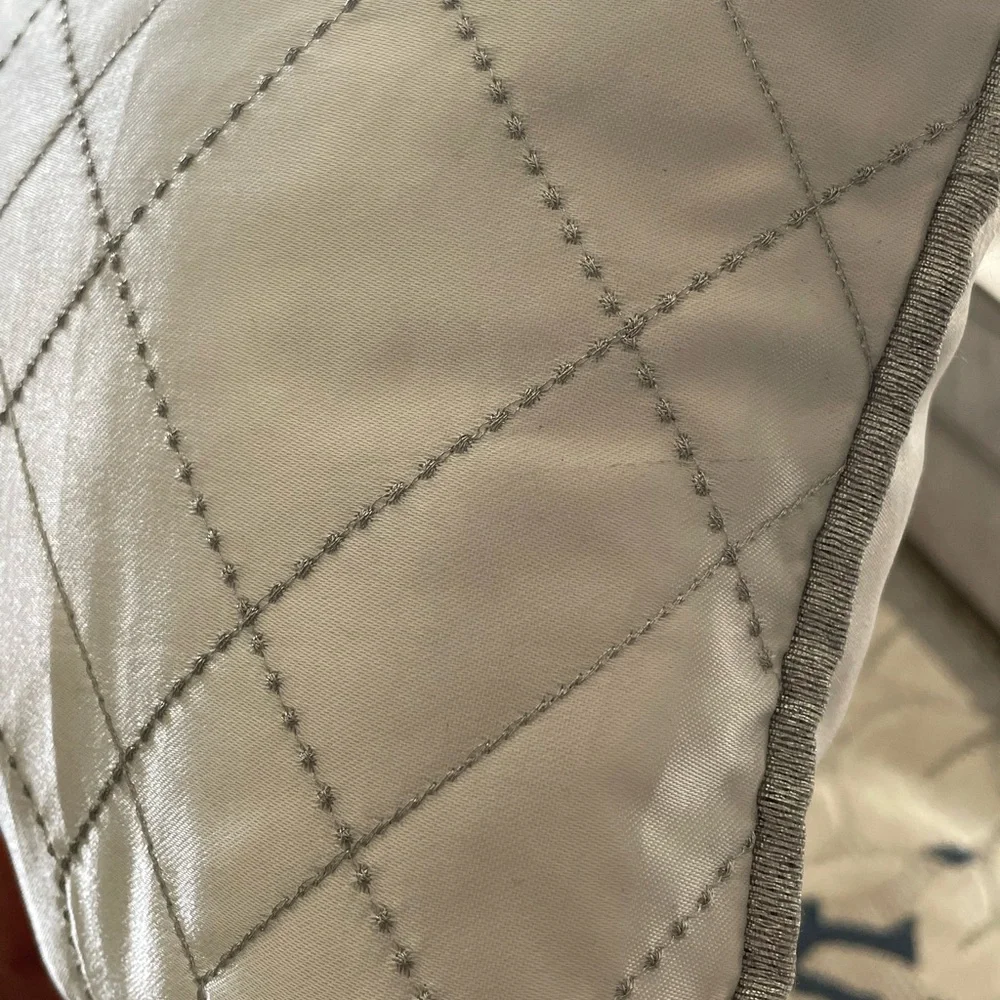 West Elm Shimmering Silver Pillow